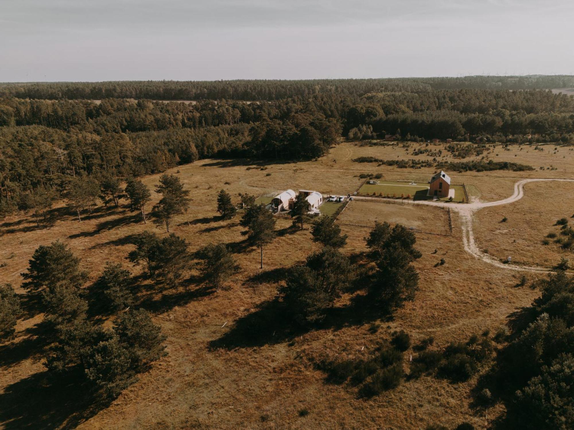 Harmony Hill Ulinia